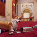 Corgi psiak Królowej - filmy-animowane.pl
