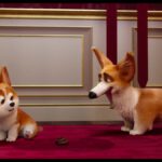 Corgi psiak Królowej - filmy-animowane.pl