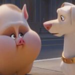 DC Liga Super Pets - filmy-animowane.pl