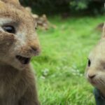 Piotruś Królik - filmy-animowane.pl