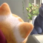 Sekretny świat kotów - filmy-animowane.pl