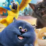 Sekretny świat kotów - filmy-animowane.pl