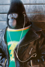Johnny - Sing - filmy-animowane.pl