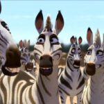 Kumba - filmy-animowane.pl