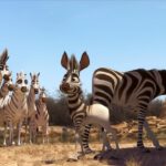 Kumba - filmy-animowane.pl
