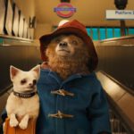 Paddington - filmy-animowane.pl