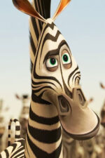Marty Madagaskar - filmy-animowane.pl