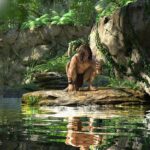 Tarzan Król dżunlgi - filmy-animowane.pl
