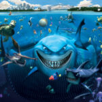 Gdzie jest Nemo - filmy-animowane.pl