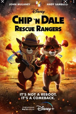 Chip 'n' Dale Rescue Rangers poster - filmy-animowane.pl