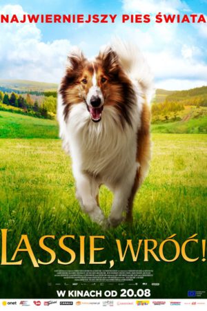 Lassie, wróć plakat - filmy-animowane.pl